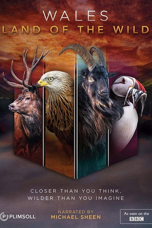 Wales: A vadak földje Speciális epizódok (2020-12-16) poszter
