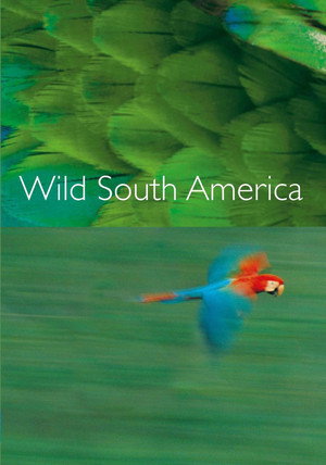 Andes to Amazon poszter