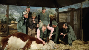 M*A*S*H 10. évad Ep.11 11. epizód