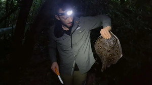7 vs. Wild 5. évad Ep.8 8. epizód