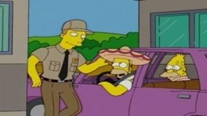 A Simpson család 16. évad Ep.6 Gyógyszerhiány