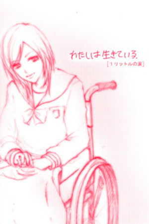 1リットルの涙 poszter