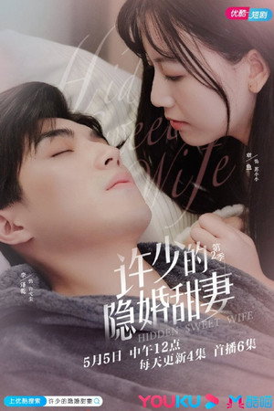 许少的隐婚甜妻 poszter