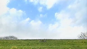 仮面ライダー555 1. évad Ep.50 50. epizód
