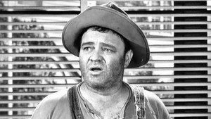 The Andy Griffith Show 3. évad Ep.20 20. epizód