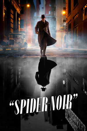 A Pók: Noir poszter