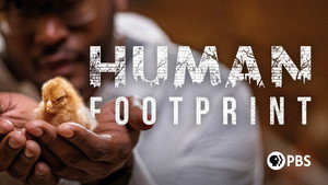 Human Footprint kép