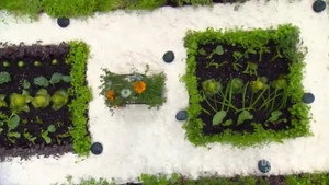 MasterChef Australia 5. évad Ep.47 47. epizód