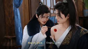 紫陌红尘 kép