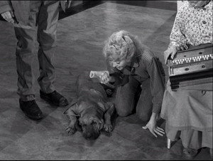 The Beverly Hillbillies 1. évad Ep.22 22. epizód