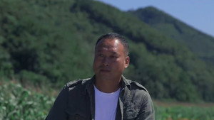 我和我的松树村 1. évad Ep.29 29. epizód