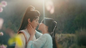 风华鉴 kép