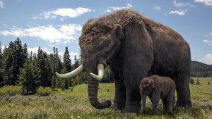 Ice Age Giants kép