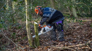 Sandi's Great British Woodland Restoration 1. évad Ep.1 1. epizód
