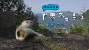 岩合光昭の世界ネコ歩き 1. évad Ep.9 9. epizód