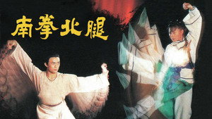 南拳北腿 kép