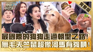 小姐不熙娣 1. évad Ep.820 820. epizód