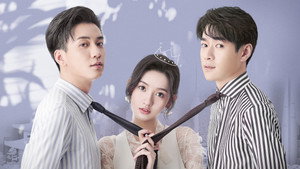 只是结婚的关系 kép