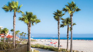 California Dreaming – Der Zukunft einen Schritt voraus kép