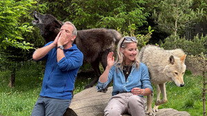 Robson Green's Weekend Escapes 3. évad Ep.11 11. epizód