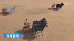 斑马百科 Speciális epizódok Ep.8 8. epizód
