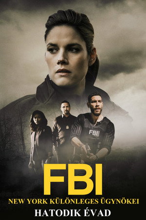 FBI: New York különleges ügynökei 6. évad (2024-02-13) poszter