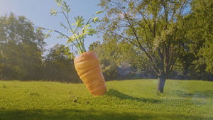 Mein leckerer Garten kép