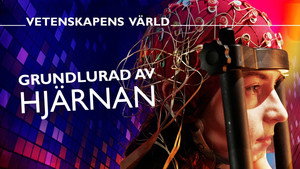Vetenskapens värld 52. évad Ep.13 13. epizód