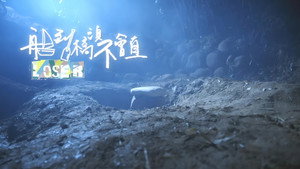 船到橋頭不會直 kép