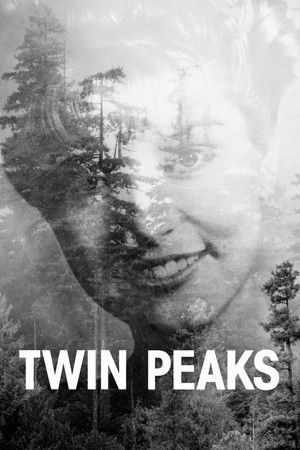 Twin Peaks poszter