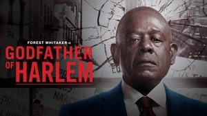 Godfather of Harlem kép