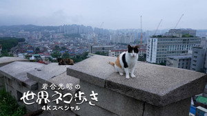 岩合光昭の世界ネコ歩き 1. évad Ep.142 142. epizód