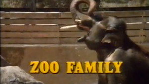 Zoo Family 1. évad Ep.3 3. epizód