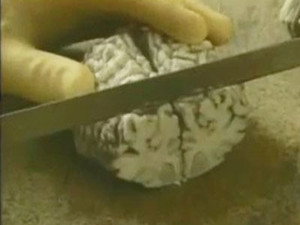 Forensic Files 3. évad Ep.4 4. epizód