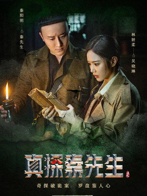 真探秦先生 poszter