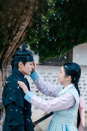 꽃선비 열애사 poszter
