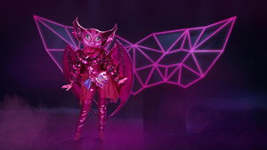 The Masked Singer kép