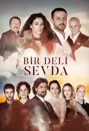 Bir Deli Sevda poszter