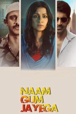 Naam Gum Jayega 1. évad (2024-03-04) poszter