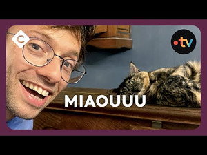 Jibé et Lucien en coulisses 1. évad Ep.78 78. epizód