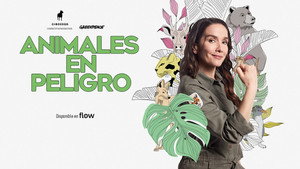 Animales en peligro kép