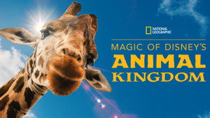 Magic of Disney's Animal Kingdom kép