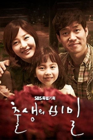 출생의 비밀