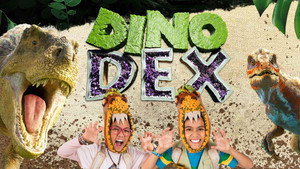 Dino Dex kép