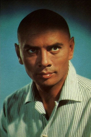 Yul Brynner profil kép