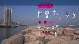 岩合光昭の世界ネコ歩き 1. évad Ep.48 48. epizód