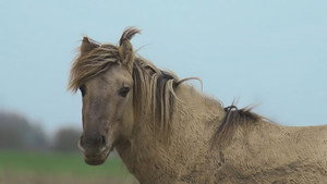 Countryfile 38. évad Ep.9 9. epizód