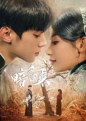 暗香来 poszter