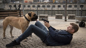 Rocky és a zsaru kép