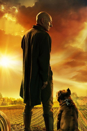 Star Trek: Picard poszter